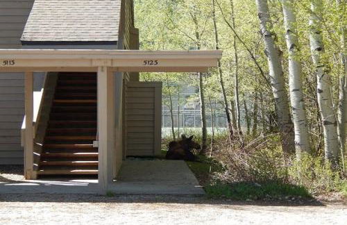 5123 Foxtail - Foto 20