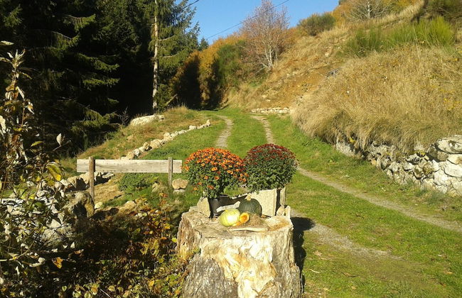 Charming Farmhouse in Cros-de-georand With Swimming Pool - Photo 71