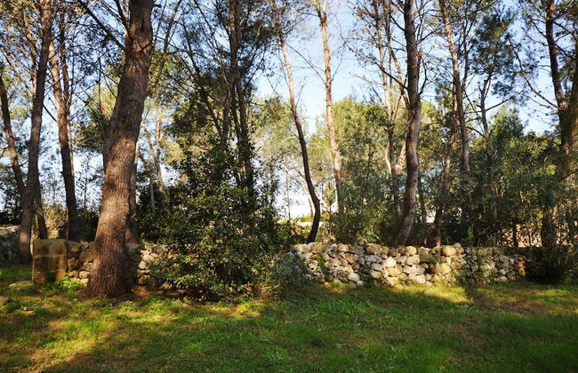 Masseria Frassaniti - Foto 32