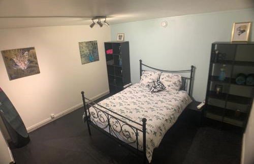 Appartement cosy proche Roissy CDG Astérix DisneyLand Paris - Foto 11