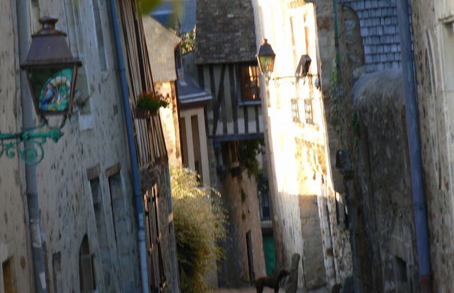 Appartement Relais Saint Pavin - Foto 45