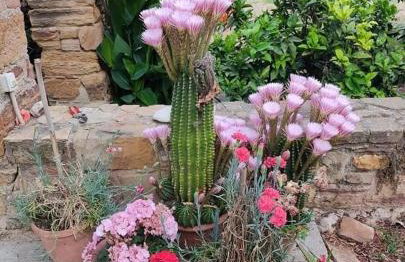 Jasmine Kampos - Foto 18