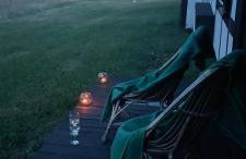 Siedlisko na łące - Foto 13