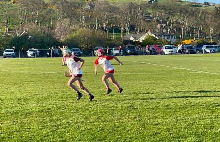 Tavnaghoney Cottages - Foto 30