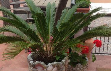 Apartments Vunić - Foto 66