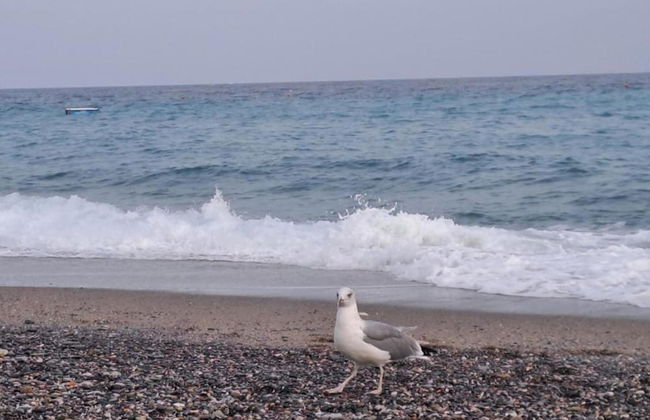 Apartment in Liguria Near Toirano Caves - Foto 22