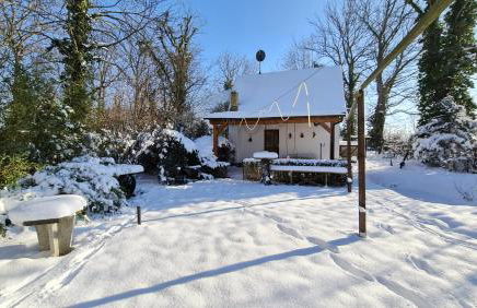 Behagliches Haus mit Kamin und Wärmepumpe - Foto 1