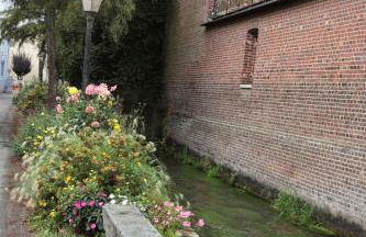 Gîte de l'église à Saint Saëns - Foto 37