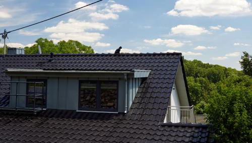 Schwarzer Kater Blankenheim - Photo 5