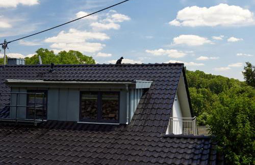 Schwarzer Kater Blankenheim - Foto 5