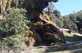 La gazza allegra - Foto 13