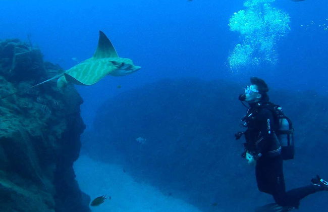 Bautismo de buceo en Los Cristianos - Foto 2
