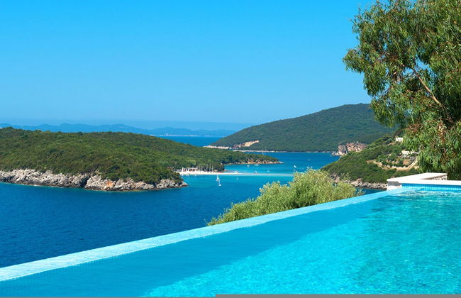 White Orchid Vanda in Vola - Photo 3