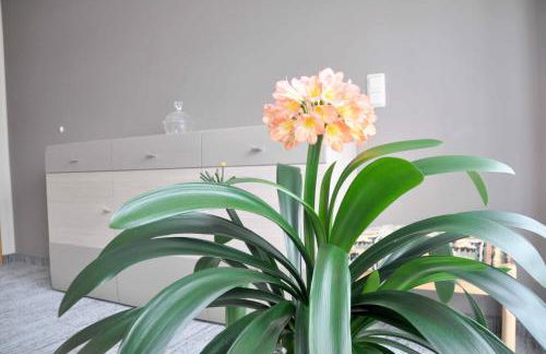 Ferienwohnung Blaumeise - Foto 38