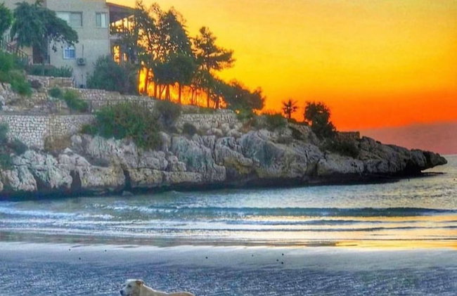 Athena Premium Suites - Foto 43