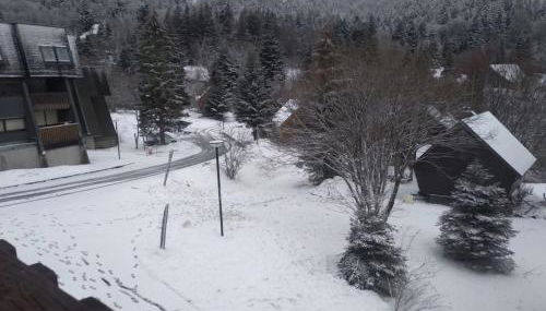 appartement avec balcon au Mont Dore - Foto 3