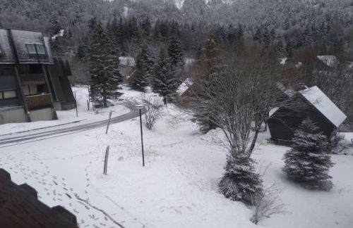 appartement avec balcon au Mont Dore - Foto 3