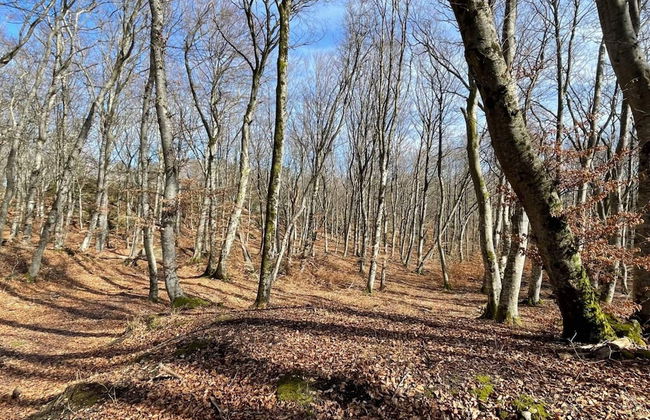 3 Person Holiday Home in Hunnebostrand-by Traum - Foto 10