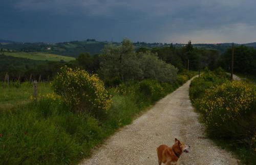 FAETOLE typical Tuscan country house near FLORENCE - Foto 35