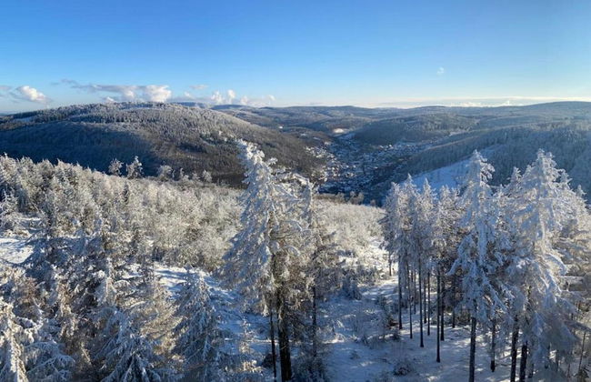 Ideal Holiday Home in Wutha-Farnroda near City Center - Foto 24