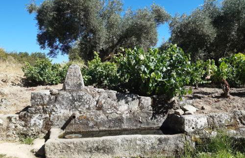 Casa Cristina - Foto 23