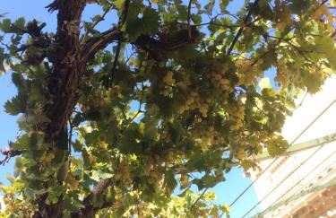 La maison des Sources - Foto 27