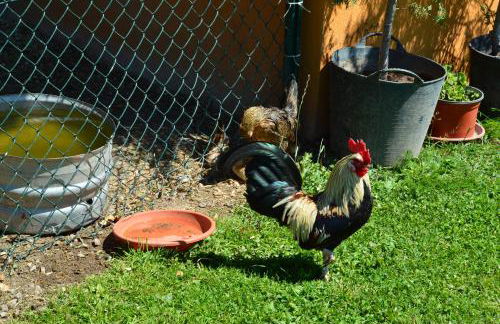 CASUCAS LA GUARIZA (Casa Eva ) - Foto 25
