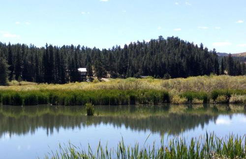 Impressive Cabin Rental with Views of Pike National Forest near Colorado Springs, Colorado - Foto 28