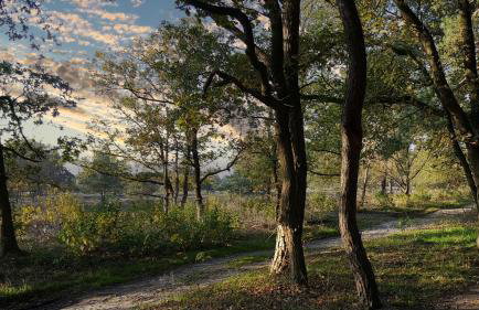 FeWo Grafschaft - Foto 27