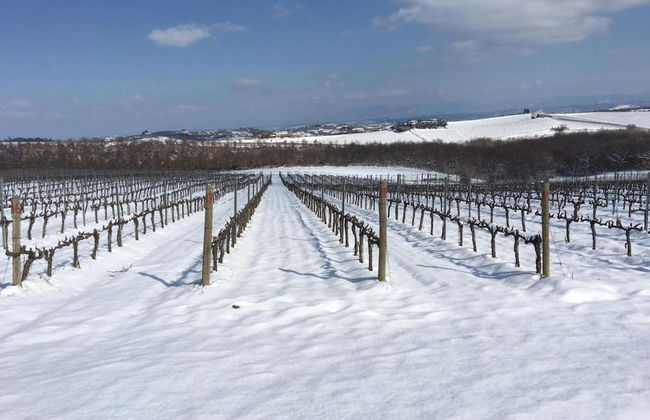 Agriturismo Podere Casa al Vento - Photo 32