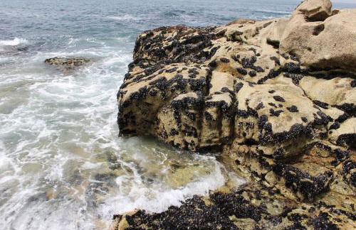 Matosinhos -Seas Apartment- Cabo das Marés - Foto 64