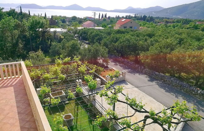 Apartments Kola - Foto 49