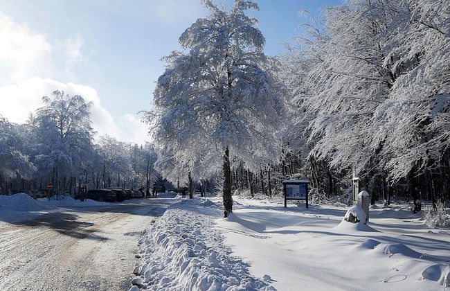 Hellenthal Nature Hideaway - Photo 24