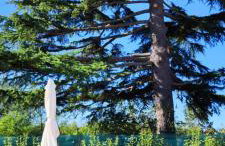 Villa Allegra - Foto 39