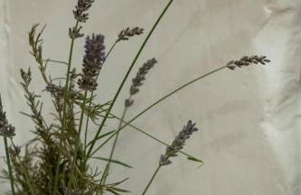 Número 8 a Traditional Basque Village Homestead - Photo 10