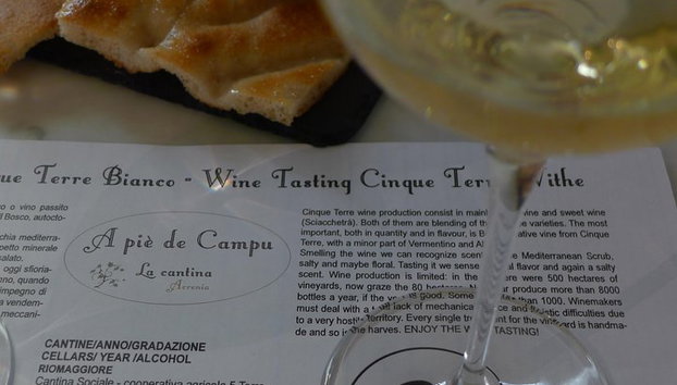 Visite du vignoble et dégustation de vins - Photo 3