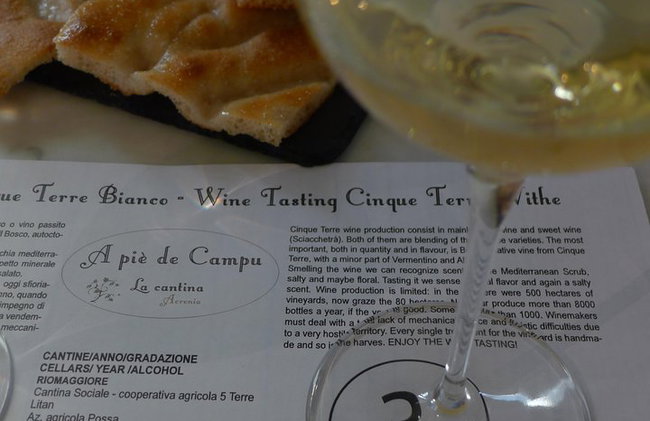 tour vinícola e degustação de vinhos - Foto 3
