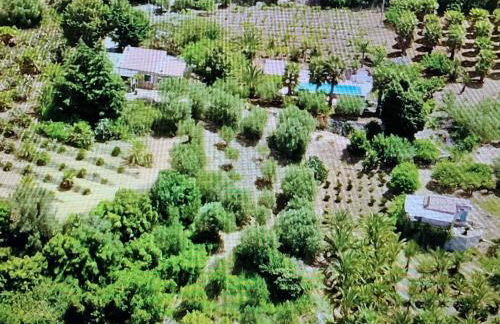 Egesta, villa with private pool - Foto 9