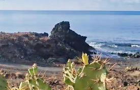 Casa Palmu apartment - A peaceful and relaxing oasis in Golf del Sur, Tenerife - Foto 71