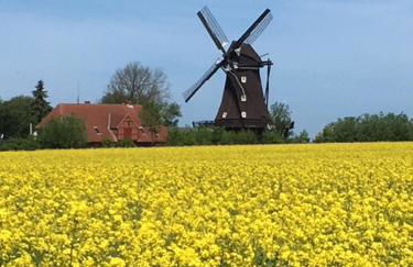 Zur Mühle Lemkenhafen auf Fehmarn - Foto 30