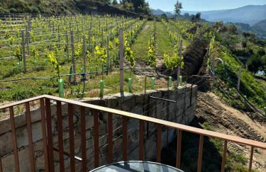 Refúgio Verde Douro - Foto 22