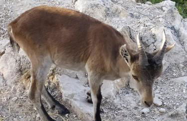 Casa Rural Ladrón de Semillas - Foto 28