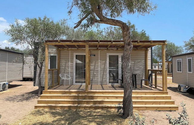 Taiga Almeria Playa - Photo 25