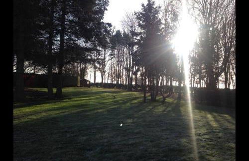 Brownhills - Foto 42