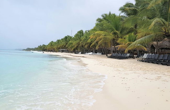 Saona Island mit dem Schnellboot erkunden - Ganztagesausflug - Foto 1