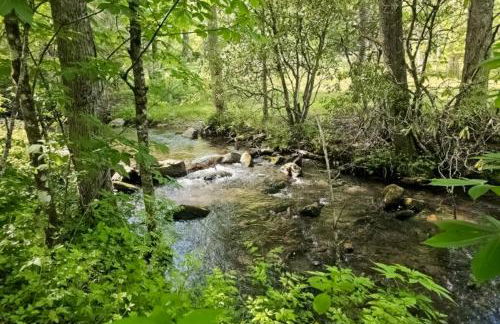 Winona's Retreat - Foto 41