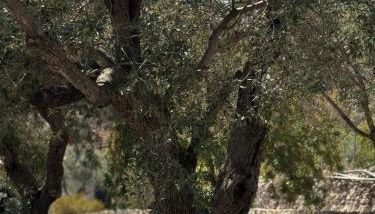 Kontos Village House - Foto 2