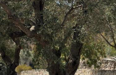 Kontos Village House - Foto 2