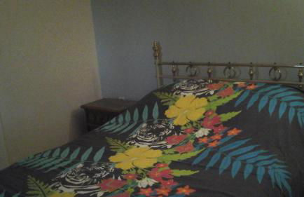 domisiladoré - Foto 21