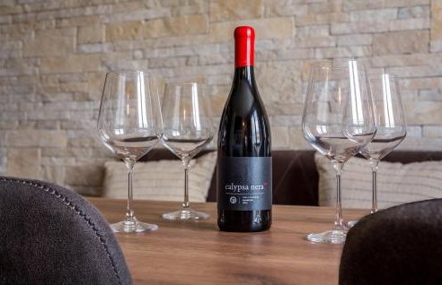 Villa Calla Labin - Photo 28